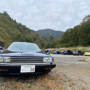 スカイライン