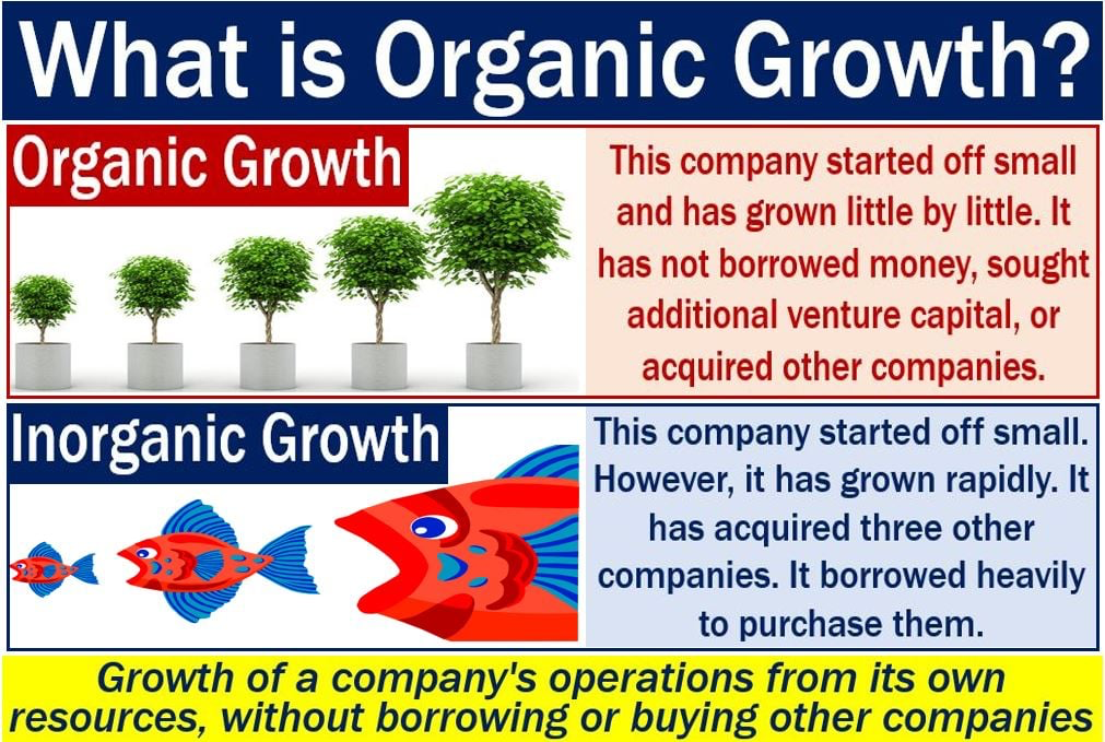 An infographic that details the differences between organic and inorganic growth. 
