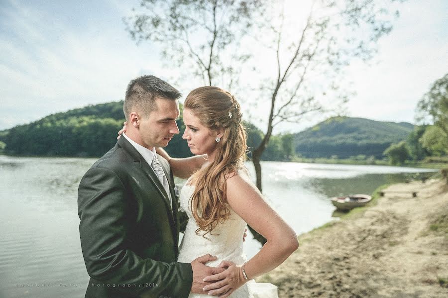 Photographe de mariage Norbert Antal (antalphoto). Photo du 3 mars 2019