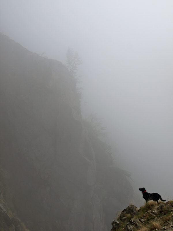 La Lea nella nebbia di Gian Luigi