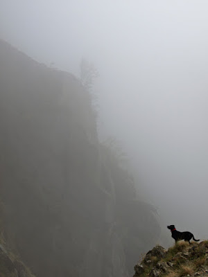 La Lea nella nebbia di Gian Luigi