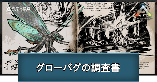 グローバグの調査書の場所と掲載内容