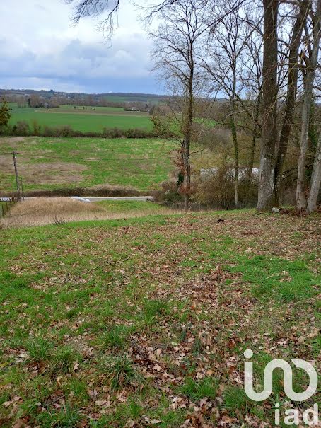 Vente terrain  913 m² à Saint-Brisson-sur-Loire (45500), 21 000 €