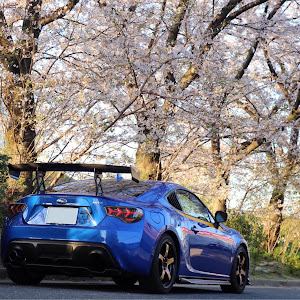 BRZ ZC6