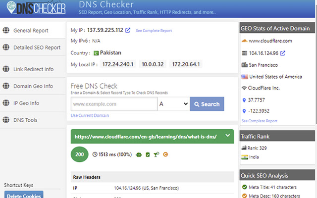 DNS Checker - SEO and Domain Analysis chrome extension