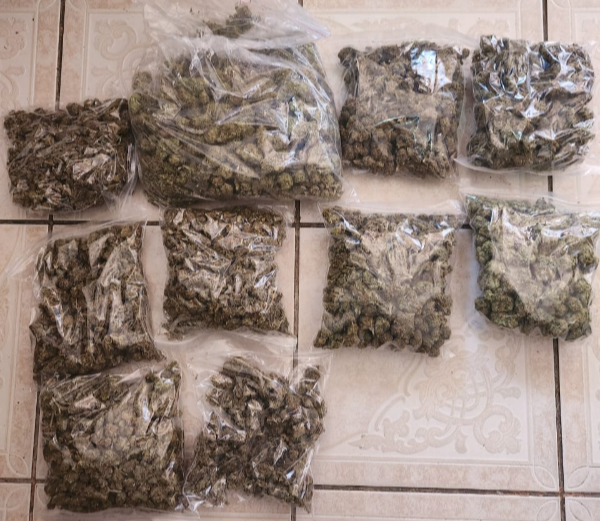 Hydroponic dagga worth about R136,500 was confiscated by the Hawks.