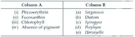 Classification of Plant Kingdom