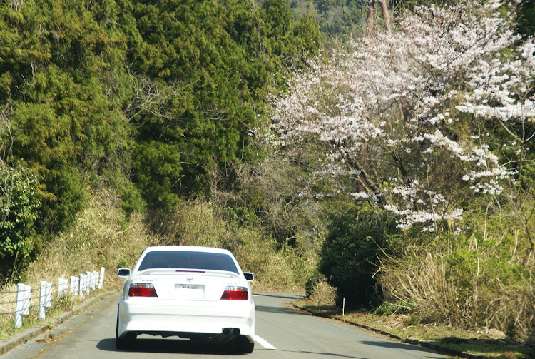 の投稿画像3枚目