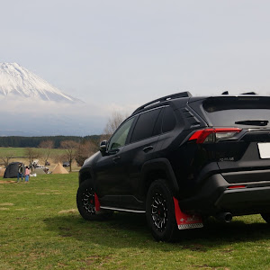 RAV4 MXAA54