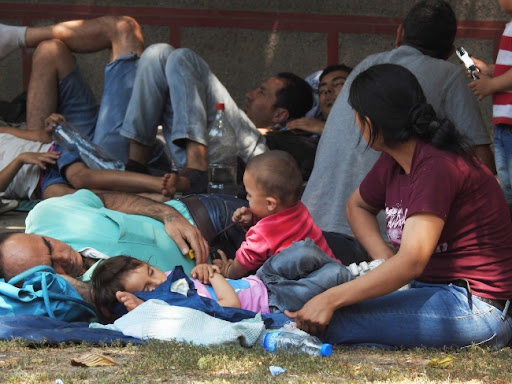 Sombor: Otkrivena nova grupa migranata van prihvatnog centra