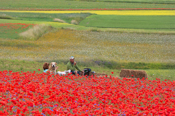 Colazione tra i fiori di Blondy