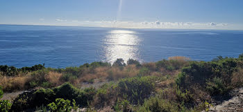 terrain à Sisco (2B)