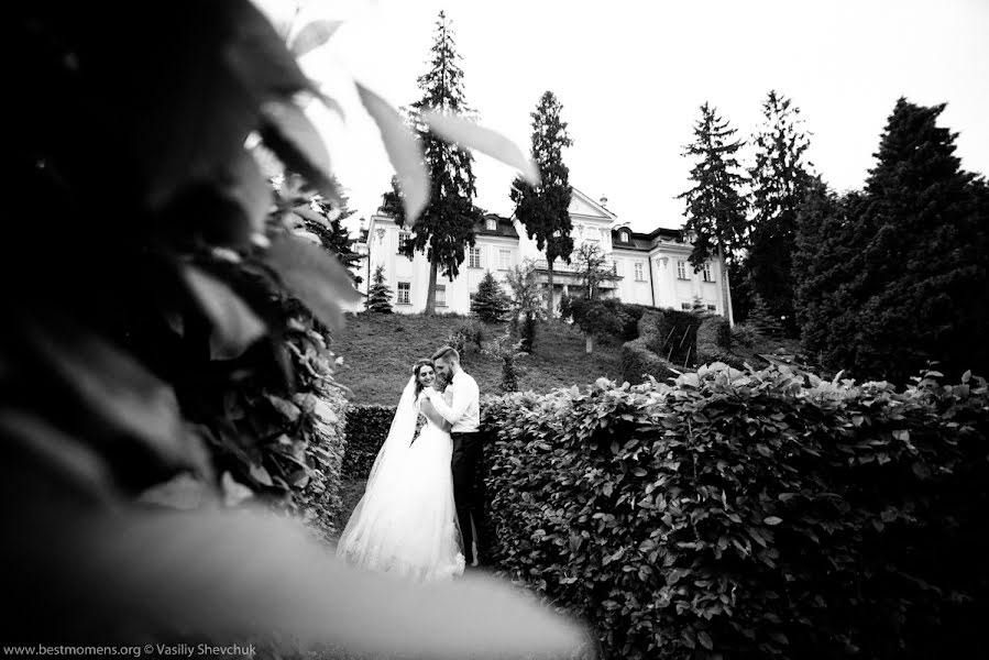 Fotografo di matrimoni Vasiliy Shevchuk (shevchuk). Foto del 16 maggio 2020