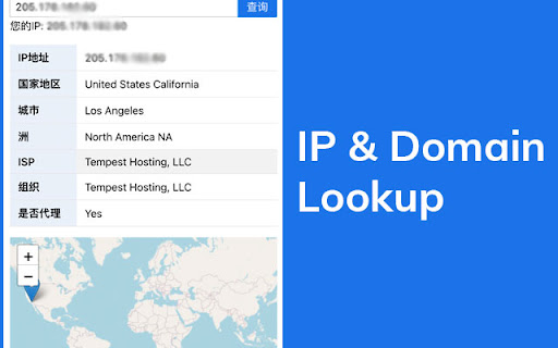 IP & Domain Lookup