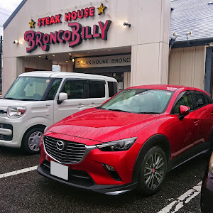 CX-3 DK5FW