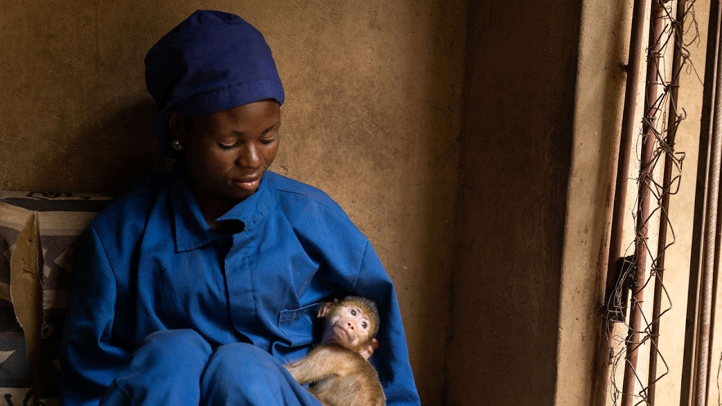 Malawi Wildlife Rescue