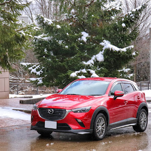 CX-3 DK5FW