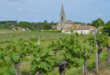 Vineyard with outbuildings 2