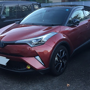 C-HR ZYX10