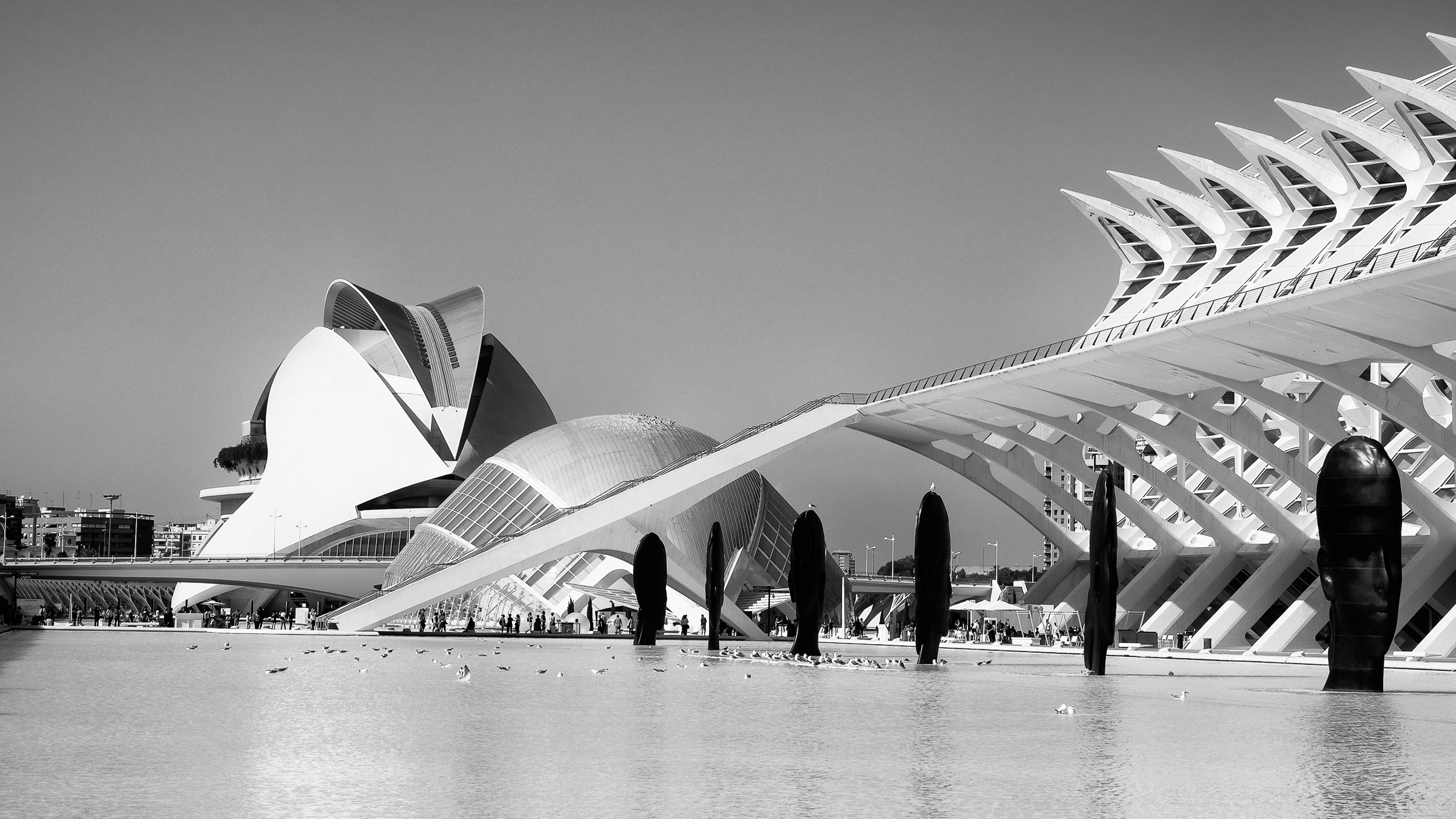 Valencia - Città delle Arti e delle Scienze di Elio_R