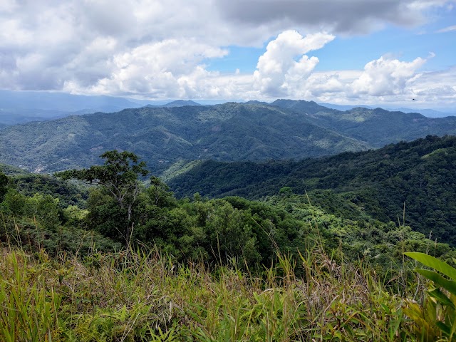 Bukit Bongol