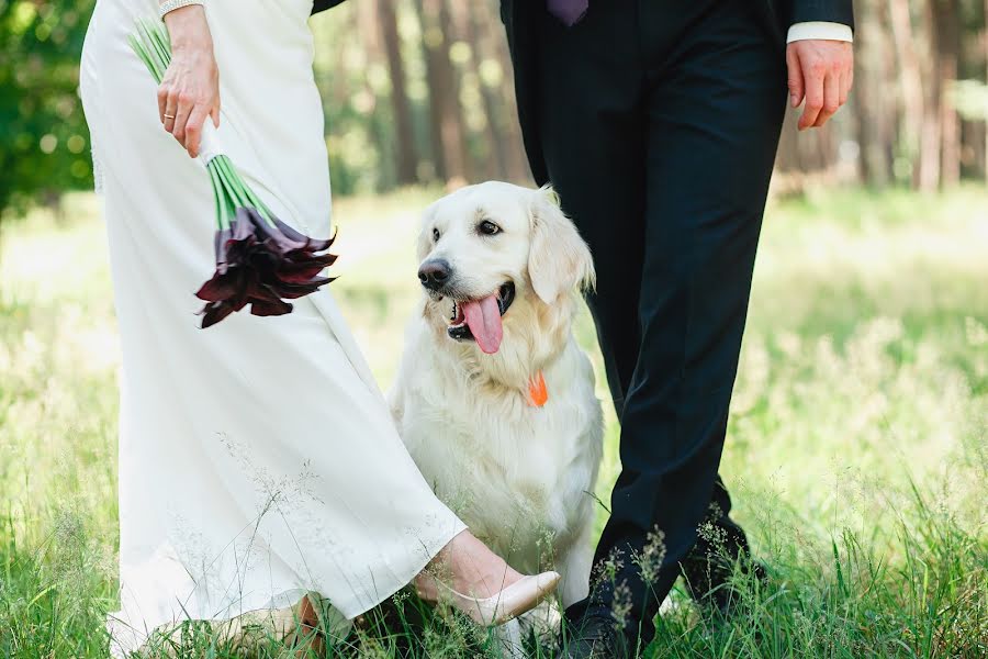 Wedding photographer Ekaterina Mikhaylenko (kelsi). Photo of 31 March 2017