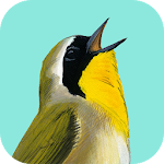 Song Sleuth: Auto Bird Song ID w/ David Sibley Apk