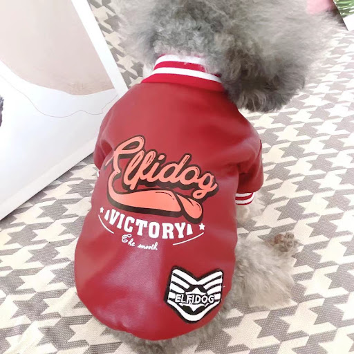 Title 5, Leather dog clothes for small dogs, cotton-padd...