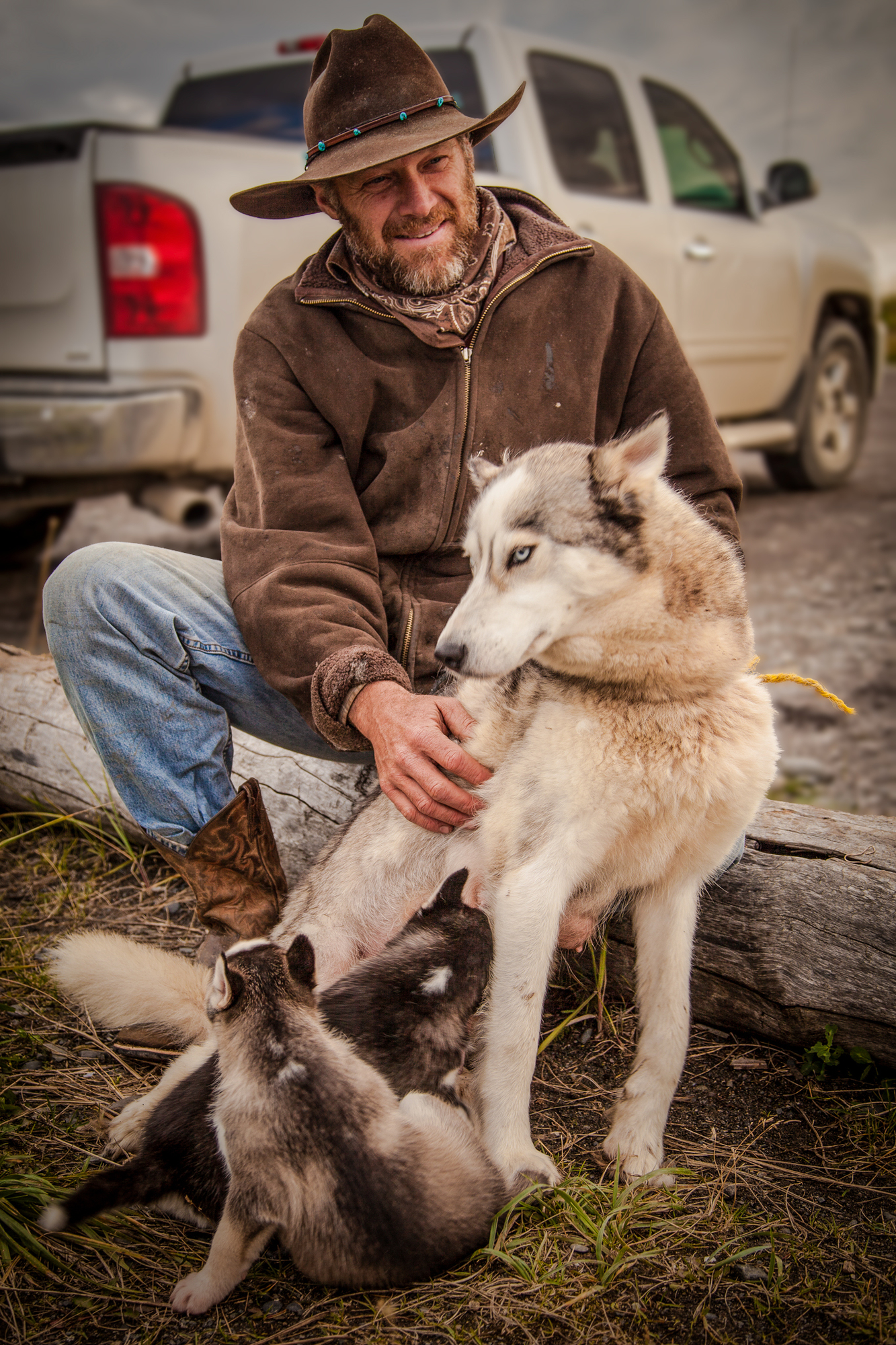 Husky's Breeder di NickAdami