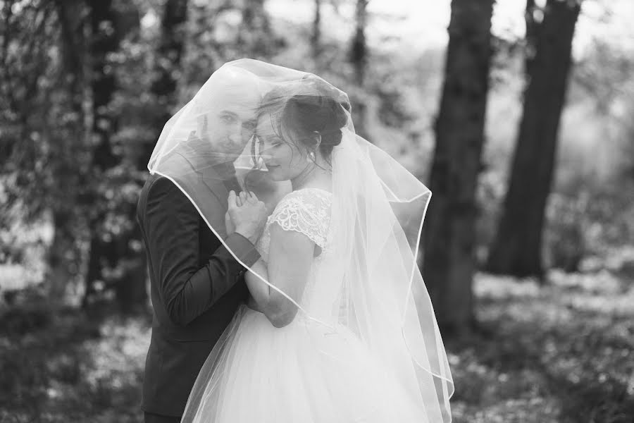 結婚式の写真家Igor Melishenko (i-photo)。2017 8月30日の写真