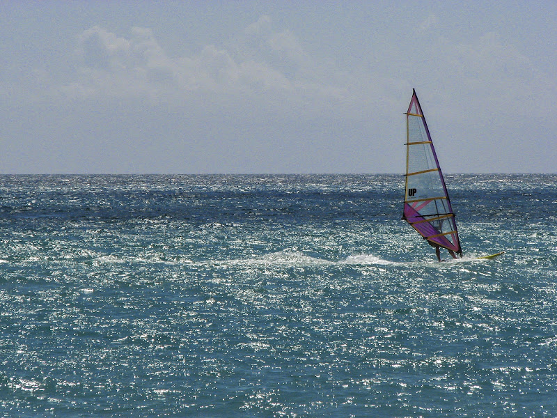 Riding the waves di Andrea Calò