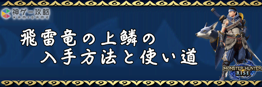 飛雷竜の上鱗