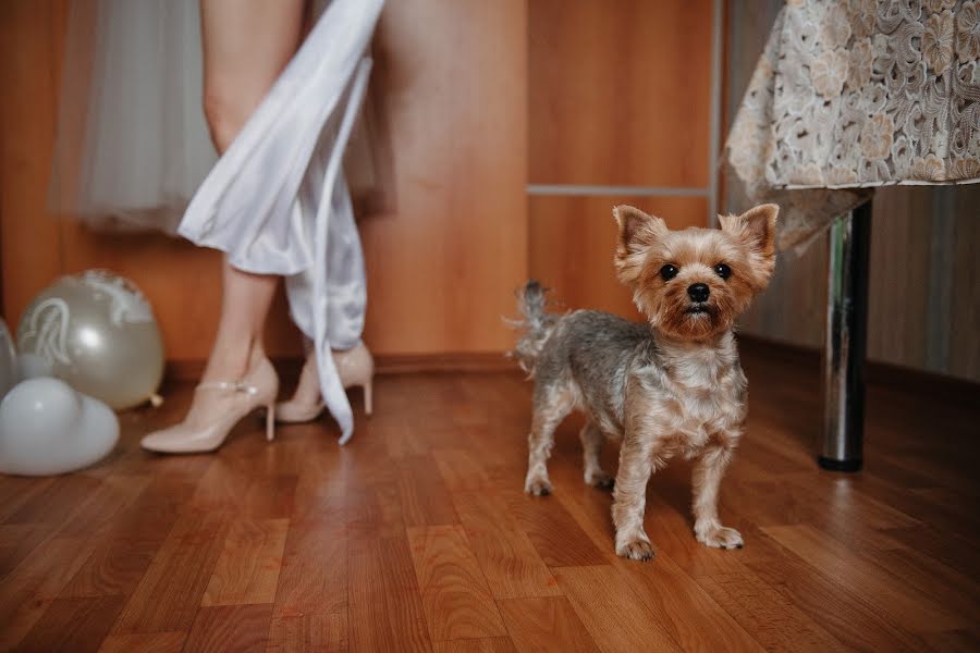 Wedding photographer Valeriya Mironova (leramirfoto). Photo of 11 August 2019