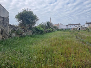 terrain à Sainte-Marie-de-Ré (17)