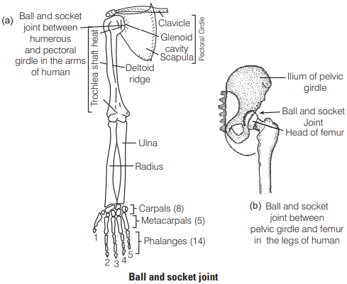 Solution Image