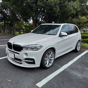 X5 F15