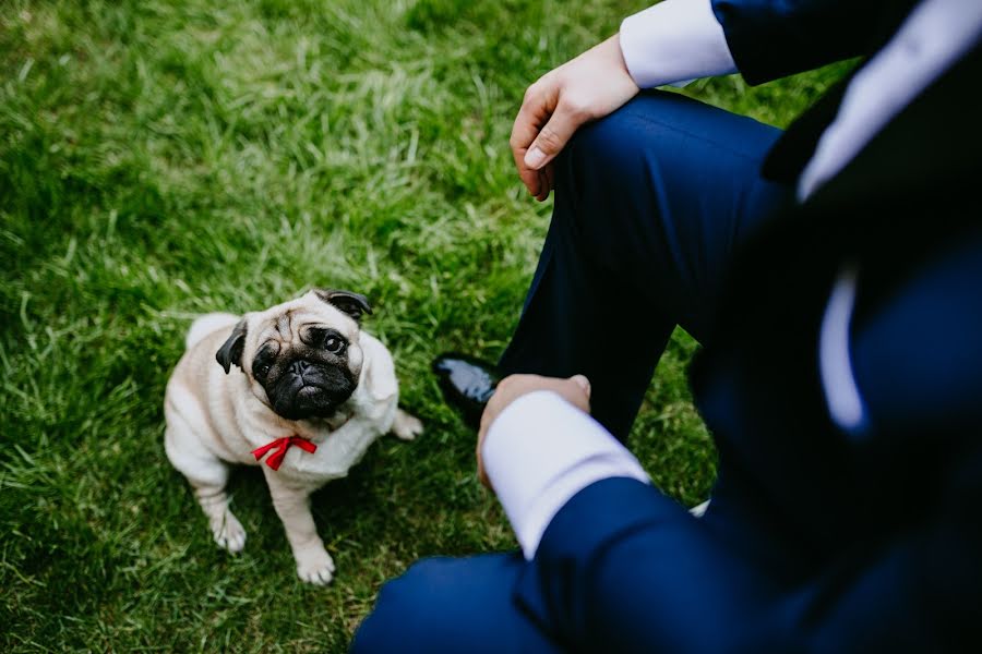 Wedding photographer Magdalena Szczucka (magdalenaszczuck). Photo of 17 June 2020