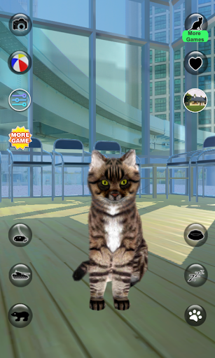 Screenshot Talking Reality Cat