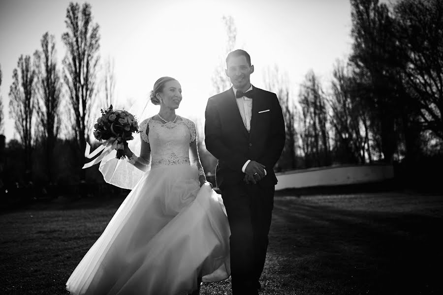 Wedding photographer Aleksandr Kinash (fotokinash). Photo of 30 March 2019