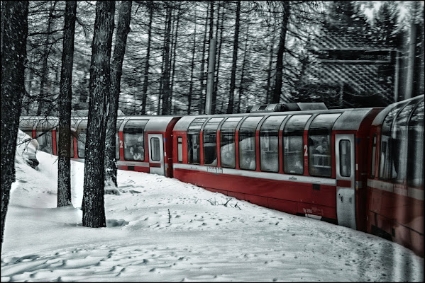 Red in the snow di Claudio Bottini