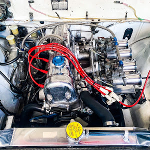 ブルーバード 610型