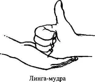 https://lh4.googleusercontent.com/--tzkVNfO_ReLqOoBdSJxl9T-glZg8jP8yJyaGDU4j6hARSgha4TkX7zK8UFvrIxmvRXL0C199nc6Ntv_1Rj-hgNYIN8c0PfU1bBb7ULfGU8KXhNplU3NqxmDMCSBbhbzqunLXjm9PTC9AuNMgyJ