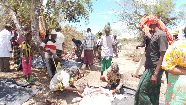 Lamu residents partake in the 2019 slaughter-to-destock program .