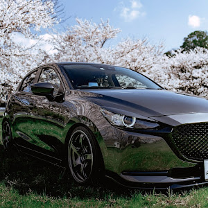 MAZDA2 DJLFS