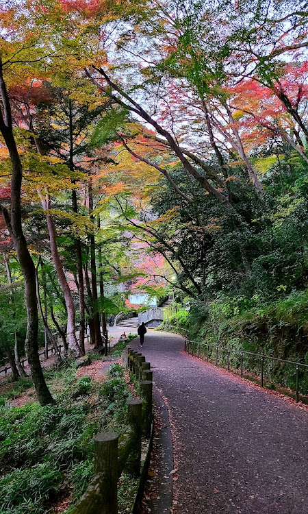 の投稿画像17枚目