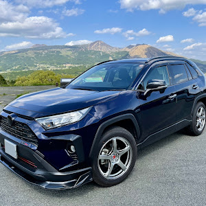 RAV4 MXAA54