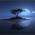 Moonlit Reflection HD Wallpaper Theme