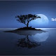 Moonlit Reflection HD Wallpaper Theme