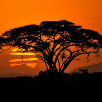 Tramonto africano di 