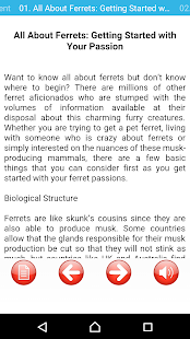 Ferrets Great Funny Home Pets - náhled